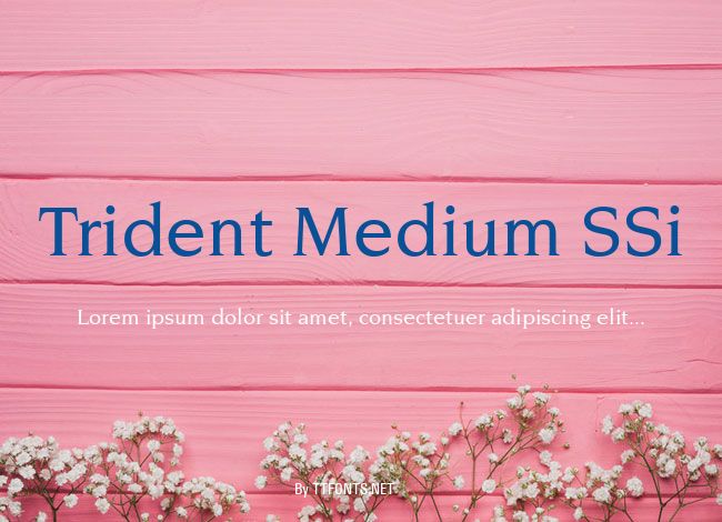 Trident Medium SSi example